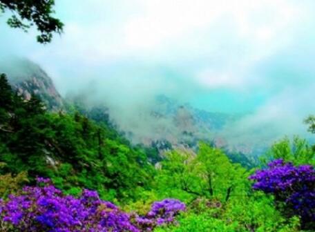 ƽ��ɽ������Ʊ