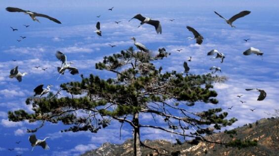 ���ط徰��