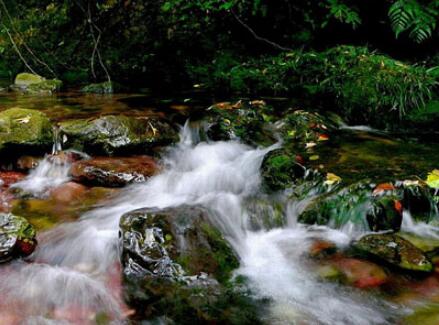 �����������´�Ͽ��