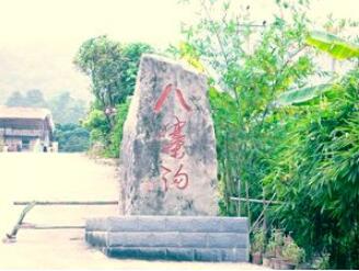 �������ݰ�կ��