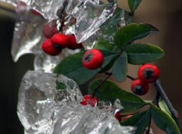 ��Դ�춹ɼɭ�ֹ�԰