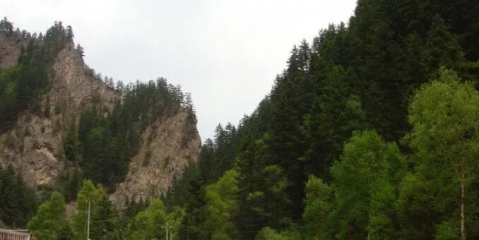 ��³������ɭ�ֹ�԰