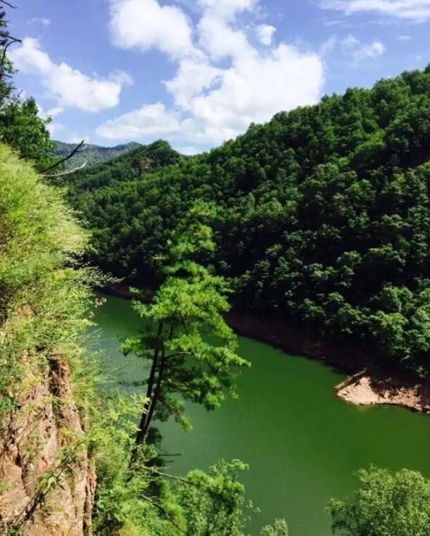 ƽ��������