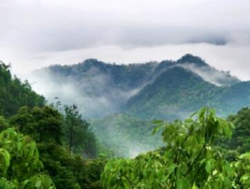 ����Դ����