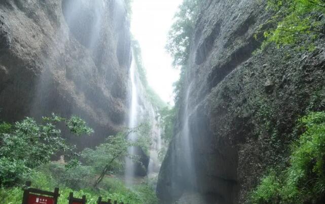 ������ţ���羰��