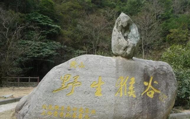 ��ɽҰ����Ⱦ���