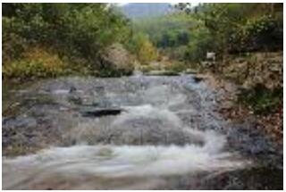 �������ɽ��Ͽ��