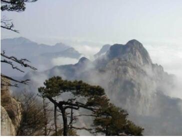 ��ţ����Ϫ