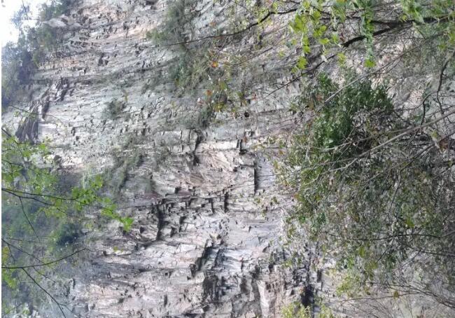 ���ɽ����Ͽ