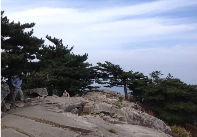 ���մ��ɽ������