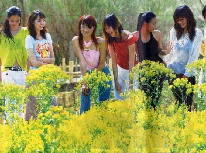 ��³��ɳĮ��̬���η羰��