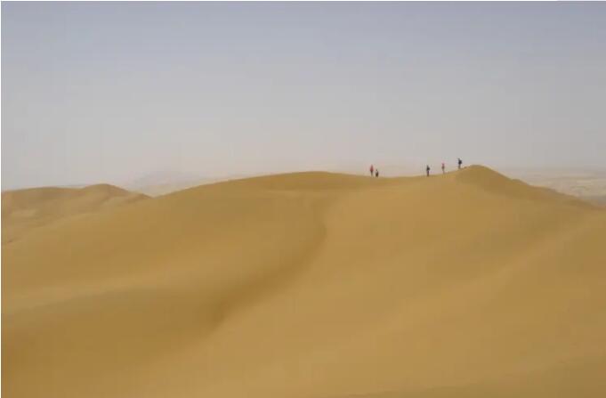 ۷�ƿ�ľ����ɳĮ