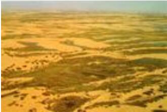 ����ë����ɳĮ