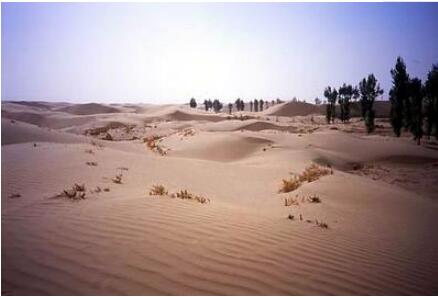 ������˹����������