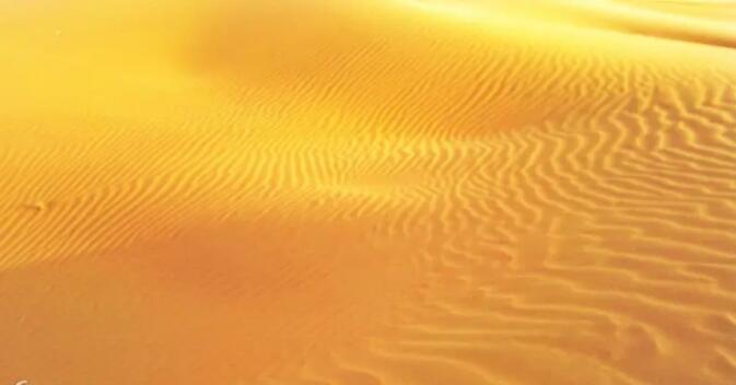 �͵�����ɳĮ̽��������