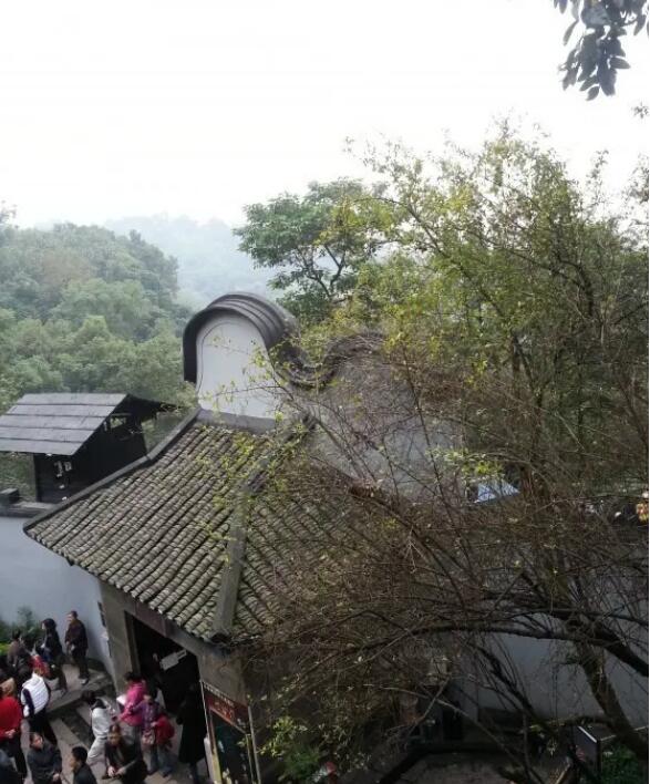 �������Ҷ�