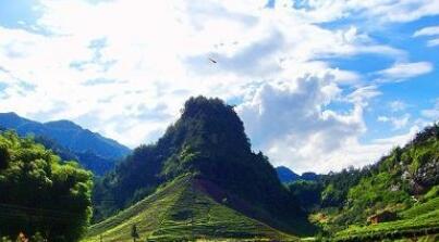 ����¢����