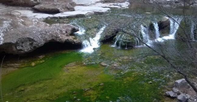 ɽ��������̬������