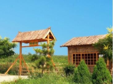 ɽ�����ɽ����