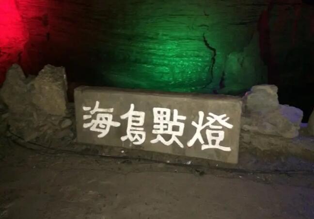 �Ž�������