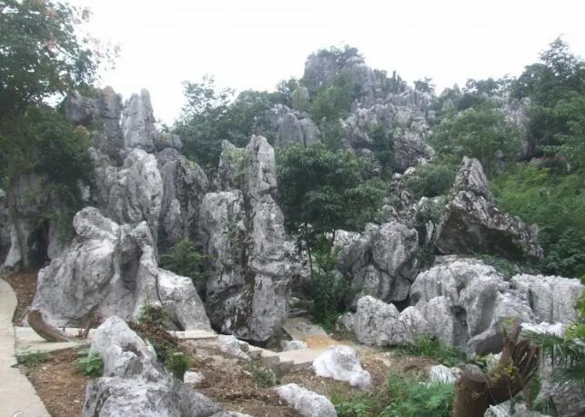 ��Դ�̹���