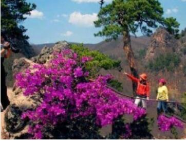 �ӱ��ɾ�̨�羰��