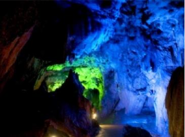 �ⶫ�����ɶ�