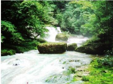 ���Ͽ����.