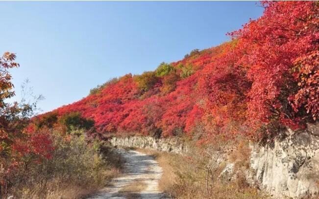 桐柏山淮源风景名胜区