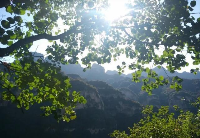 ����ɽ�羰��