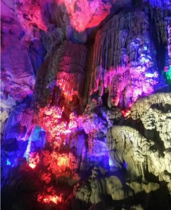 �ƹ���������