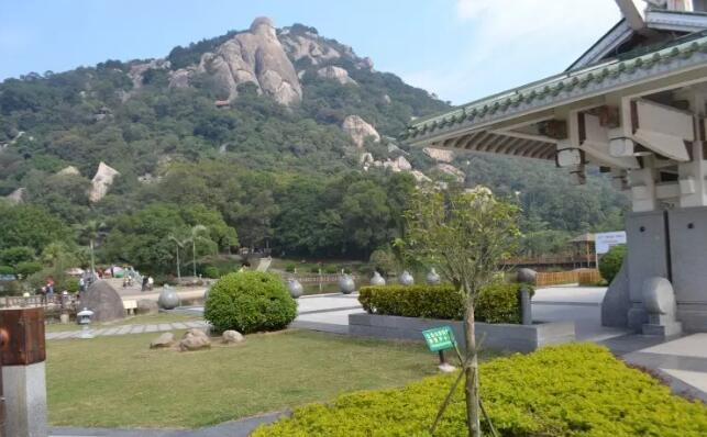 �����ƶ���