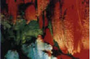 ������ɽ��