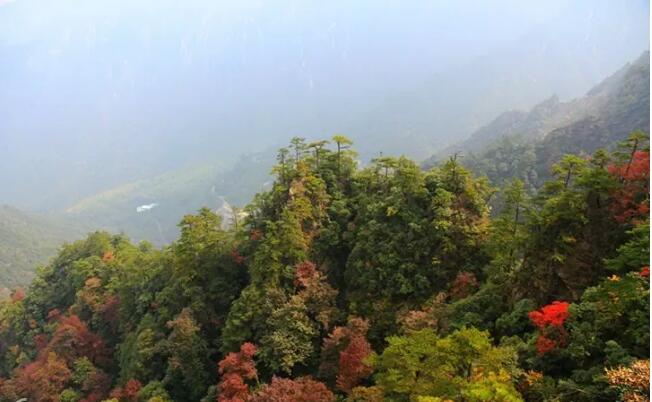 �ٰ�����ɽ