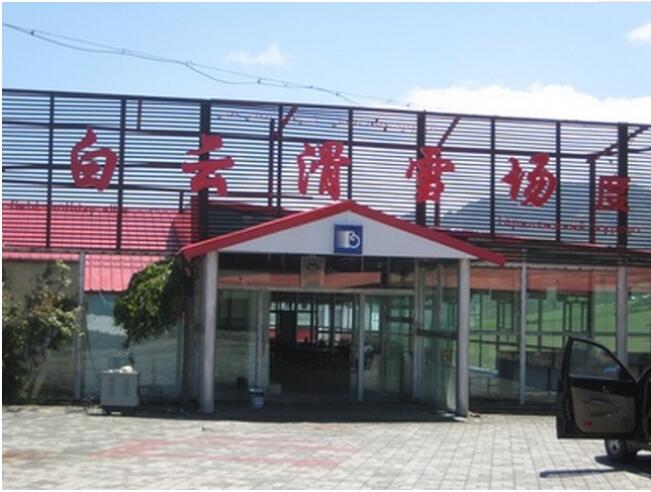 ���ƻ�ѩ��