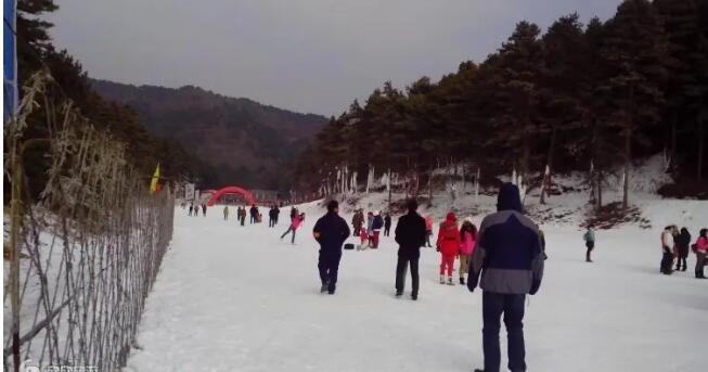 �񻪹���ѩ��