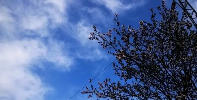 ������¹ܫ��ѩ��