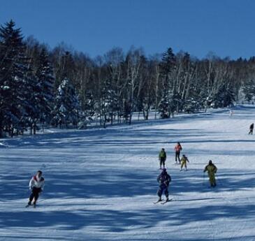 �����ػ�ѩ��