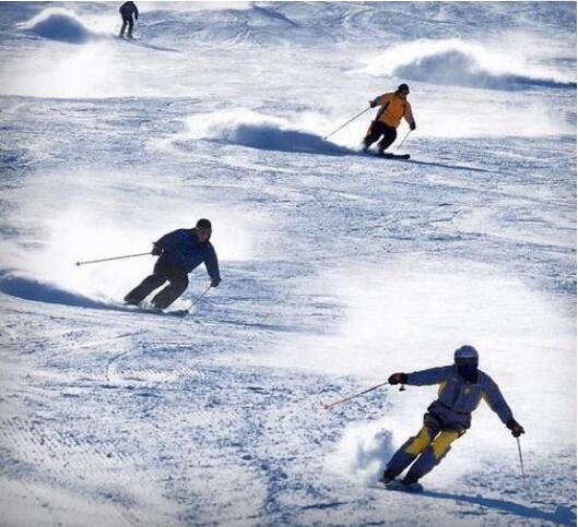 ���ǰ����»�ѩ��