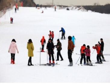 ������̬��ѩ��