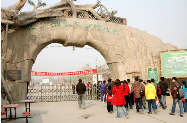 �Ͳ��������ѩ��