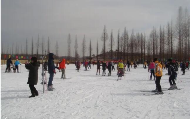 ����ɽ��ѩ��