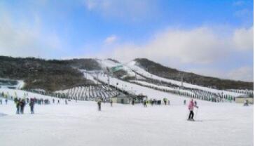 ��������ѩ����