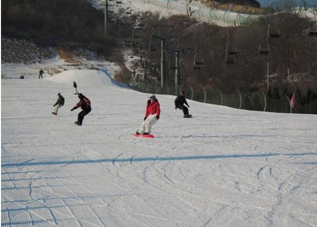 ������ѩ��