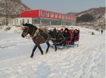 ��ƽҶ�ջʼ�ɽ��ѩ��