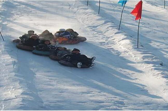 ����ɭ�ֹ�԰��ѩ��