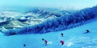 �����ɻ�����ѩ��