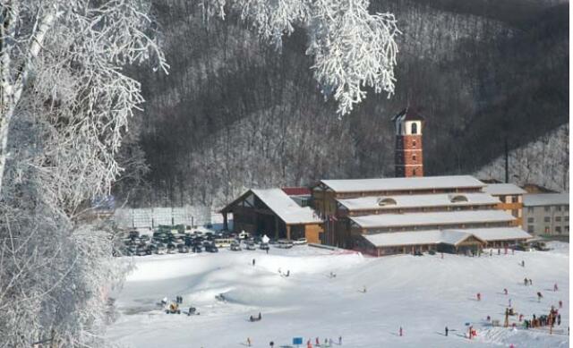 ������������ѩ��