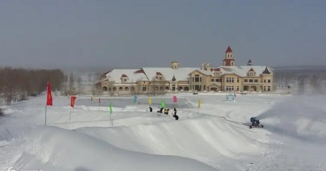 ���Ƕ���ѩ����