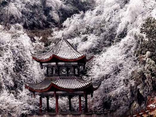 �������ɭ�ֹ�԰